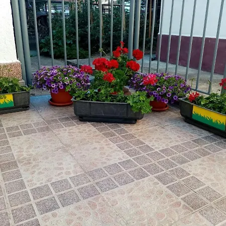 Elmari *